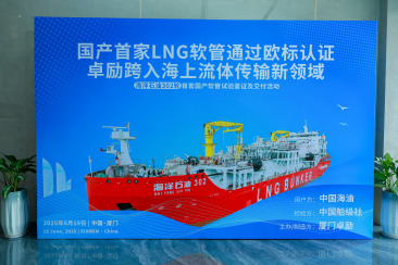 LNG接收站复合软管项目